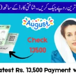 BISP 8171 Web Portal – Check Latest Rs. 13,500 Payment with CNIC