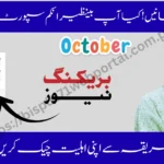 BISP 8171 Web Portal 2025 | Simple Online Method to Check Your BISP Eligibility