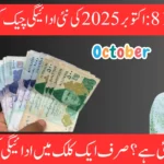 How to Check BISP 8171 October 2025 Payment Update Online by CNIC