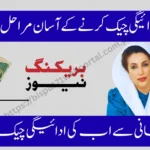 Easy Steps for BISP 8171 Payment Check 2025 – CNIC, SMS & ATM Methods