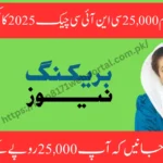 Get Rs 25,000 Easily – Ehsaas Program 25,000 CNIC Check 2025 Full Process Explained