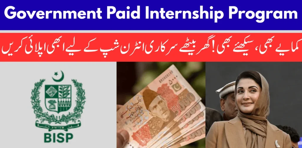 Apply Online for Government Paid Internship Program 2025 in Pakistan – Step-by-Step Guide