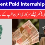 Apply Online for Government Paid Internship Program 2025 in Pakistan – Step-by-Step Guide