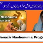Benazir Nashonuma Program 2026: How It’s Changing the Lives of Mothers and Children