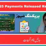 BISP 2025 Payments Released: Everything You Need to Know About Your Rs. 13,500 Support!