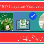 BISP 8171 Payment Verification Tips – Get Your Status Now!