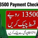 BISP 13500 Payment Check Online by CNIC – Latest 8171 Portal Method for 2026