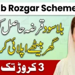 Punjab Rozgar Scheme 2026 Apply Online – Get Interest Free Loan in Pakistan Today