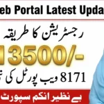 8171 Tracking Portal Payment Check 2026: How to Verify BISP 13500 Eligibility Online