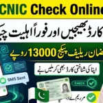 9999 CNIC Check Online Pakistan – Verify Ramzan Package Eligibility by Sending Your CNIC to 9999