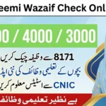 Benazir Taleemi Wazaif Check Online by CNIC 2026 – BISP Student Stipend Payment Status Complete Guide